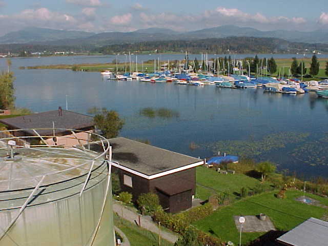 Das gereinigte Abwasser fliesst in den Zürichsee