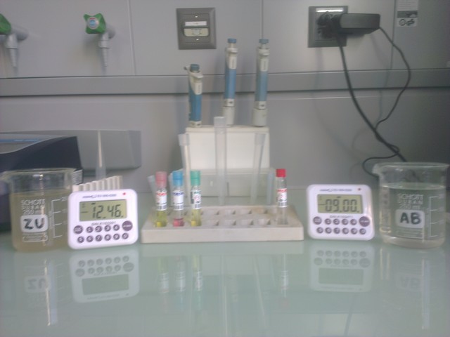 Ammonium, Nitrit, Nitrat, Fotometer und Thermoblock