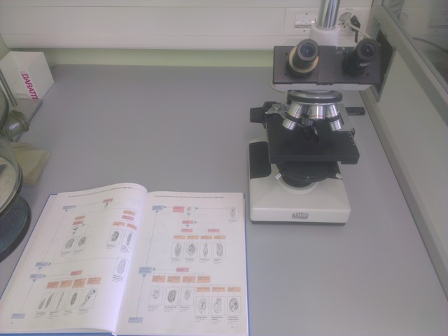 Mikroskop Untersuchung Mikroorganismen im Belebtschlamm